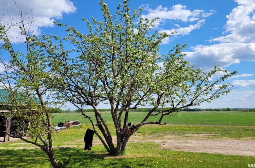 Rural Address, Loon Lake Rm No. 561, Saskatchewan S0M 1L0, 3 Bedrooms Bedrooms, 11 Rooms Rooms,1 BathroomBathrooms,Acreage,For Sale,Acreage SE of Loon Lake,Rural Address,SK925984