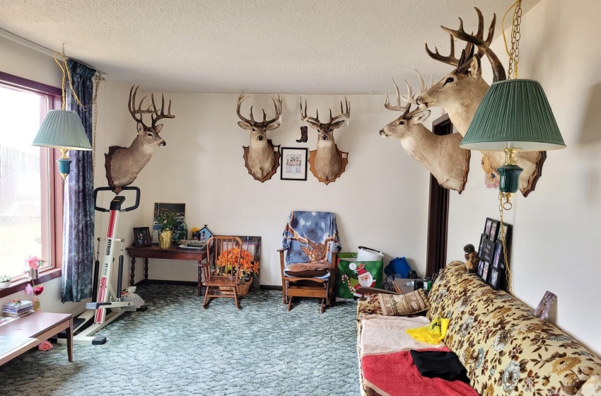 Rural Address, Loon Lake Rm No. 561, Saskatchewan S0M 1L0, 3 Bedrooms Bedrooms, 11 Rooms Rooms,1 BathroomBathrooms,Acreage,For Sale,Acreage SE of Loon Lake,Rural Address,SK925984