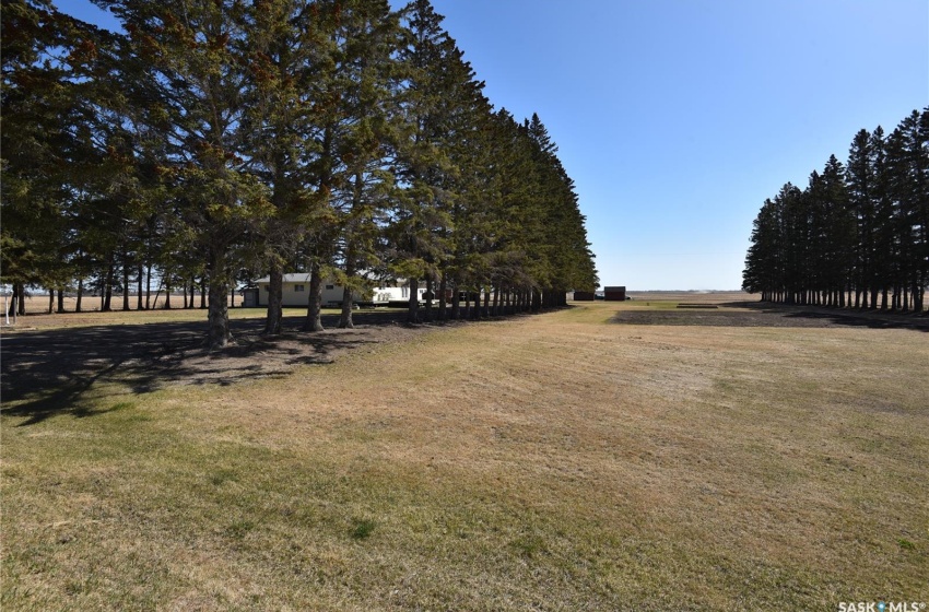 Rural Address, Torch River Rm No. 488, Saskatchewan S0E 1E0, 4 Bedrooms Bedrooms, 13 Rooms Rooms,2 BathroomsBathrooms,Acreage,For Sale,Wallington Acreage,Rural Address,SK926295