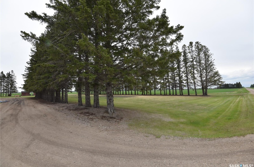 Rural Address, Torch River Rm No. 488, Saskatchewan S0E 1E0, 4 Bedrooms Bedrooms, 13 Rooms Rooms,2 BathroomsBathrooms,Acreage,For Sale,Wallington Acreage,Rural Address,SK926295