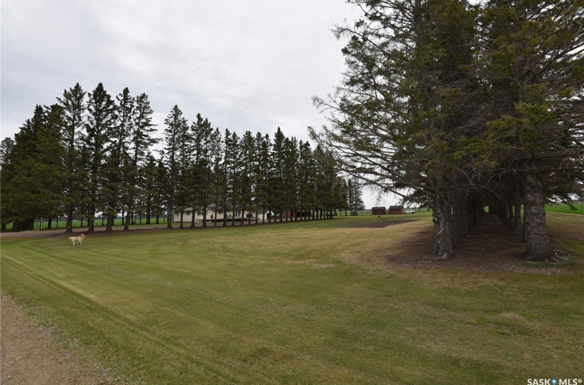 Rural Address, Torch River Rm No. 488, Saskatchewan S0E 1E0, 4 Bedrooms Bedrooms, 13 Rooms Rooms,2 BathroomsBathrooms,Acreage,For Sale,Wallington Acreage,Rural Address,SK926295