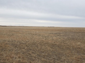 Rural Address, Wood River Rm No. 74, Saskatchewan S0H 2K0, ,Farm,For Sale,RM OF WOOD RIVER,Rural Address,SK926384