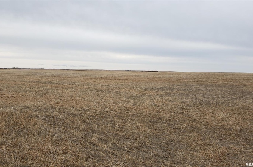 Rural Address, Wood River Rm No. 74, Saskatchewan S0H 2K0, ,Farm,For Sale,RM OF WOOD RIVER,Rural Address,SK926384