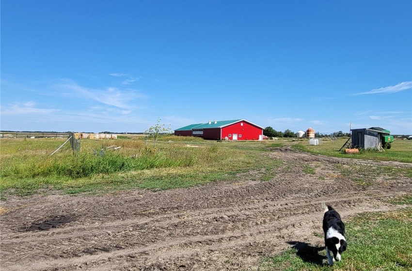 Rural Address, Eldon Rm No. 471, Saskatchewan S0M 1M0, 4 Bedrooms Bedrooms, ,1 BathroomBathrooms,Farm,For Sale,Maidstone 241 acres Hay and Dairy Farm,Rural Address,SK926861