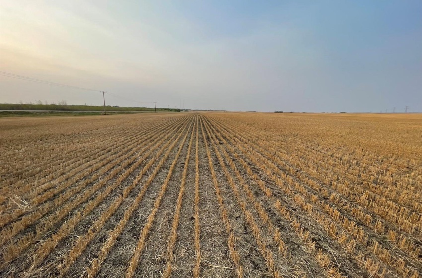 Rural Address, Aberdeen Rm No. 373, Saskatchewan S0K 0A0, ,Farm,For Sale,1 Quarter land RM Aberdeen,Rural Address,SK929233