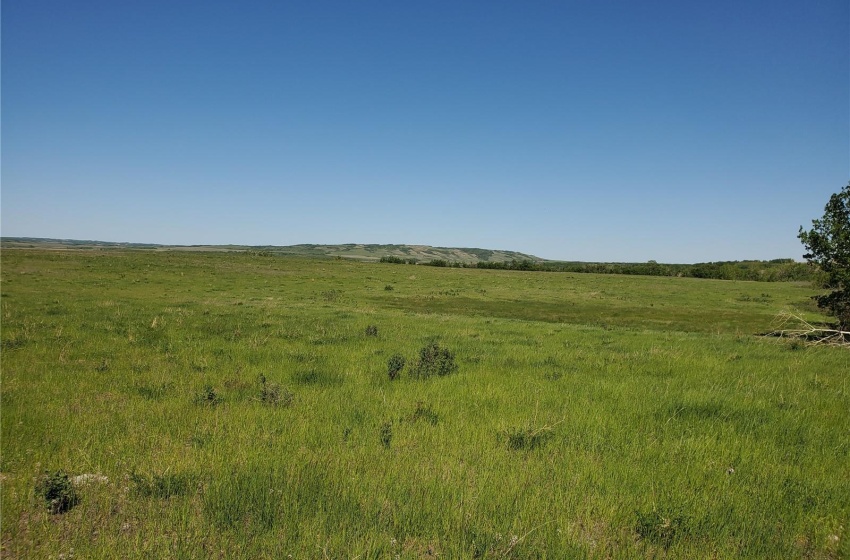 Rural Address, Round Hill Rm No. 467, Saskatchewan S9A 1R3, ,Farm,For Sale,North Battleford 128.6 ac Lakeshore & Pasturel,Rural Address,SK930193