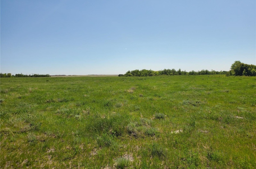 Rural Address, Round Hill Rm No. 467, Saskatchewan S9A 1R3, ,Farm,For Sale,North Battleford 128.6 ac Lakeshore & Pasturel,Rural Address,SK930193