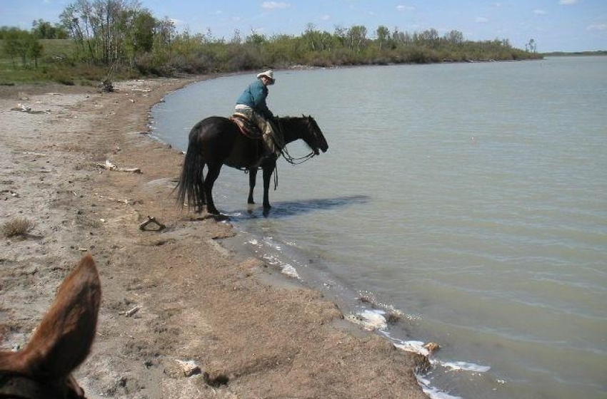 Rural Address, Round Hill Rm No. 467, Saskatchewan S9A 1R3, ,Farm,For Sale,North Battleford 128.6 ac Lakeshore & Pasturel,Rural Address,SK930193