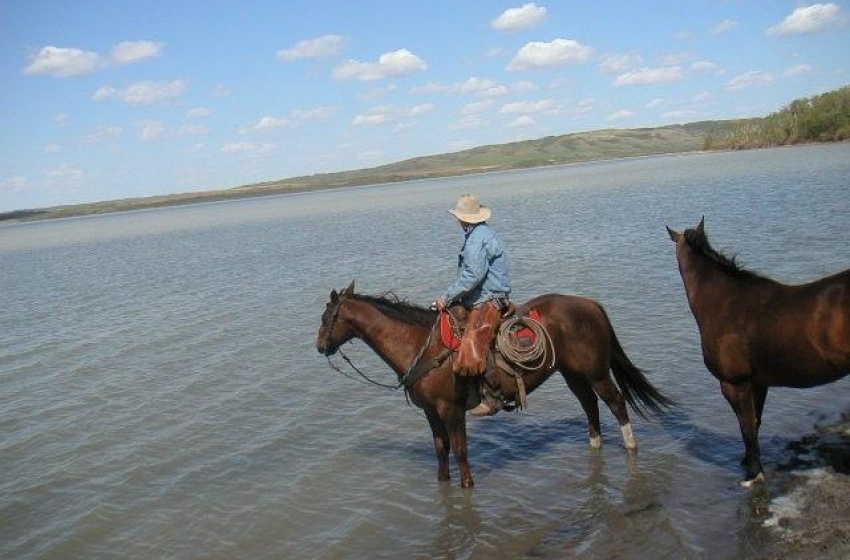 Rural Address, Round Hill Rm No. 467, Saskatchewan S9A 1R3, ,Farm,For Sale,North Battleford 128.6 ac Lakeshore & Pasturel,Rural Address,SK930193