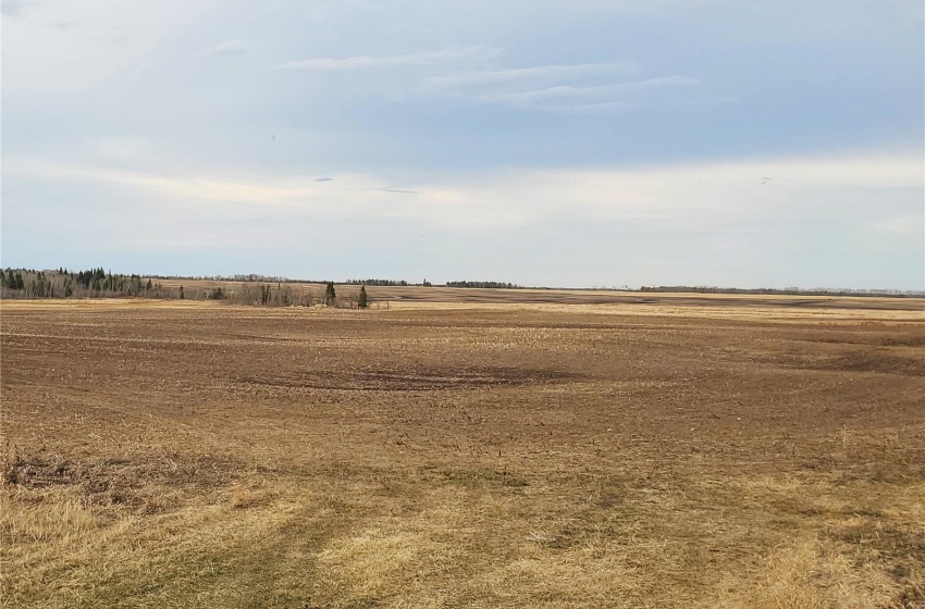 Rural Address, Canwood Rm No. 494, Saskatchewan S0J 0S0, ,Farm,For Sale,Debden 98.3 acres Grain & Pastureland,Rural Address,SK932197