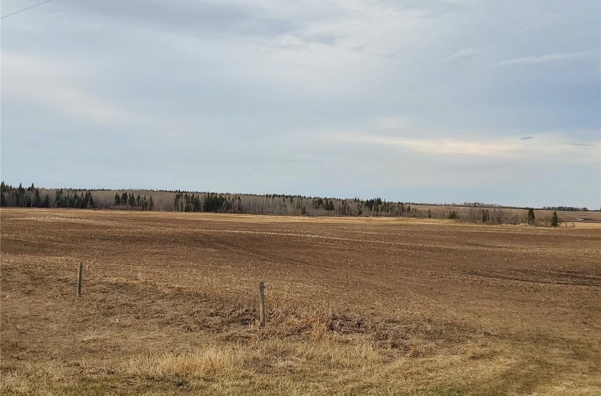 Rural Address, Canwood Rm No. 494, Saskatchewan S0J 0S0, ,Farm,For Sale,Debden 98.3 acres Grain & Pastureland,Rural Address,SK932197