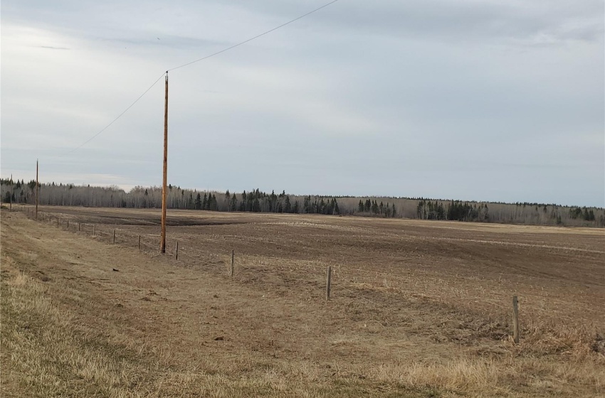 Rural Address, Canwood Rm No. 494, Saskatchewan S0J 0S0, ,Farm,For Sale,Debden 98.3 acres Grain & Pastureland,Rural Address,SK932197