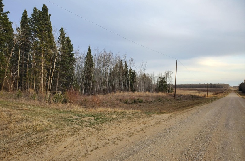 Rural Address, Canwood Rm No. 494, Saskatchewan S0J 0S0, ,Farm,For Sale,Debden 98.3 acres Grain & Pastureland,Rural Address,SK932197