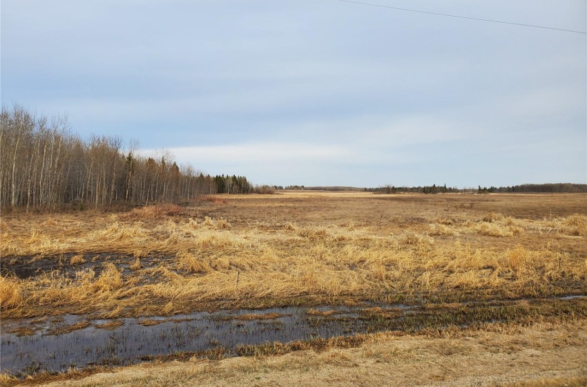 Rural Address, Canwood Rm No. 494, Saskatchewan S0J 0S0, ,Farm,For Sale,Debden 98.3 acres Grain & Pastureland,Rural Address,SK932197