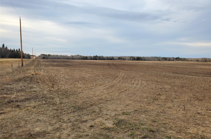 Rural Address, Canwood Rm No. 494, Saskatchewan S0J 0S0, ,Farm,For Sale,Debden 98.3 acres Grain & Pastureland,Rural Address,SK932197