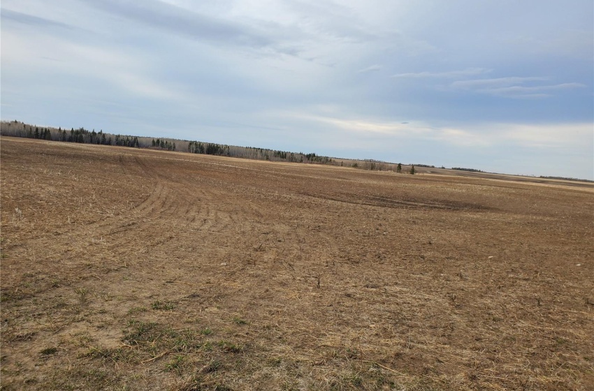 Rural Address, Canwood Rm No. 494, Saskatchewan S0J 0S0, ,Farm,For Sale,Debden 98.3 acres Grain & Pastureland,Rural Address,SK932197