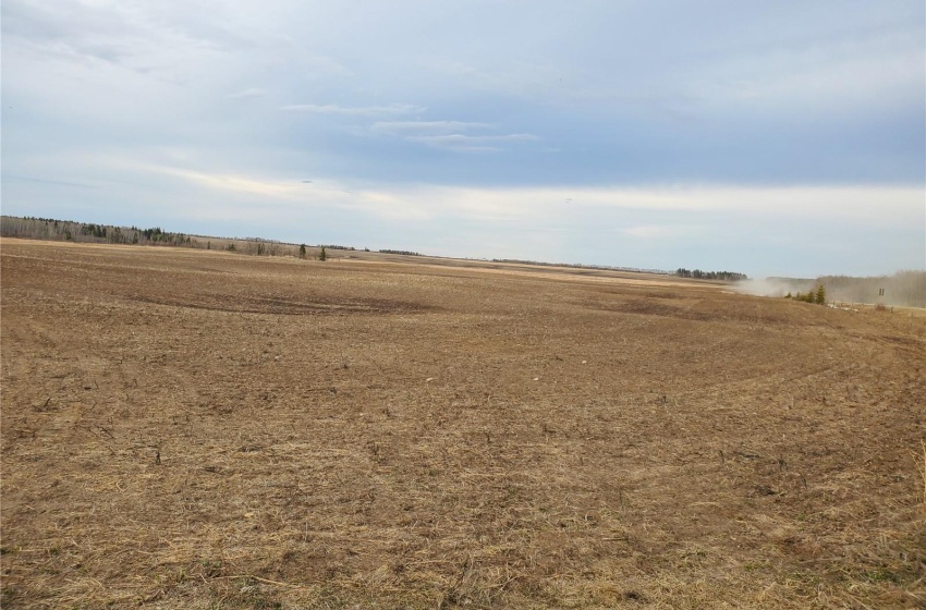 Rural Address, Canwood Rm No. 494, Saskatchewan S0J 0S0, ,Farm,For Sale,Debden 98.3 acres Grain & Pastureland,Rural Address,SK932197