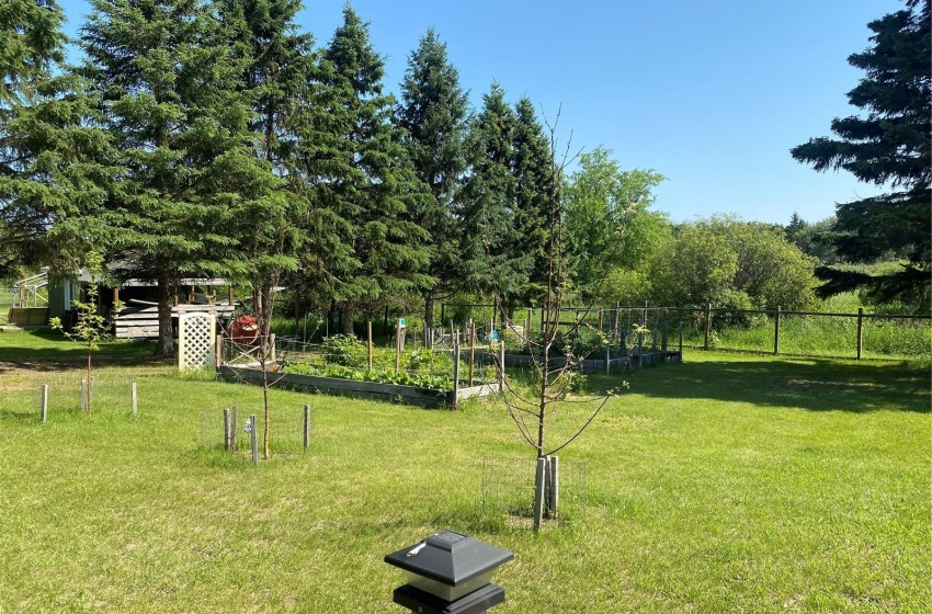 garden beds and apple trees