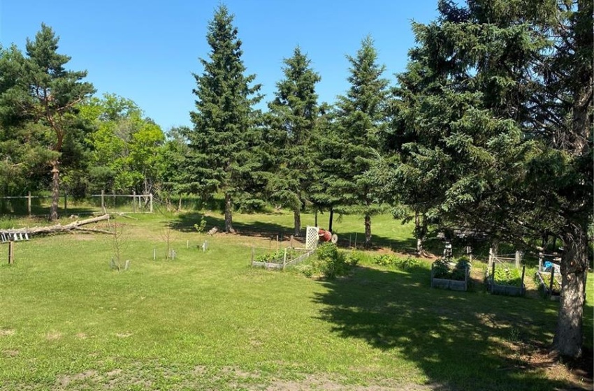 back yard from base of deck