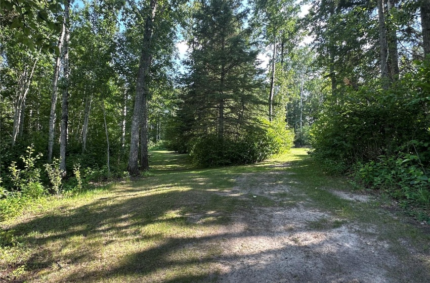 walking paths galore!