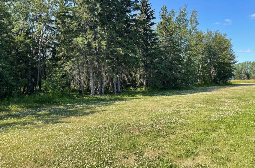 Rural Address, Barrier Valley Rm No. 397, Saskatchewan S0E 1T0, 1 Bedroom Bedrooms, 7 Rooms Rooms,2 BathroomsBathrooms,Acreage,For Sale,Howes Acreage,Rural Address,SK937733