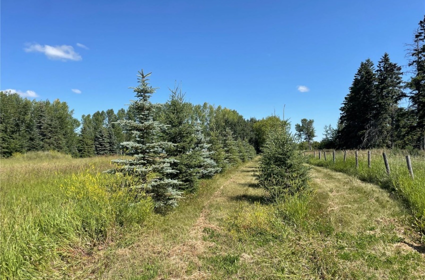 Rural Address, Barrier Valley Rm No. 397, Saskatchewan S0E 1T0, 1 Bedroom Bedrooms, 7 Rooms Rooms,2 BathroomsBathrooms,Acreage,For Sale,Howes Acreage,Rural Address,SK937733