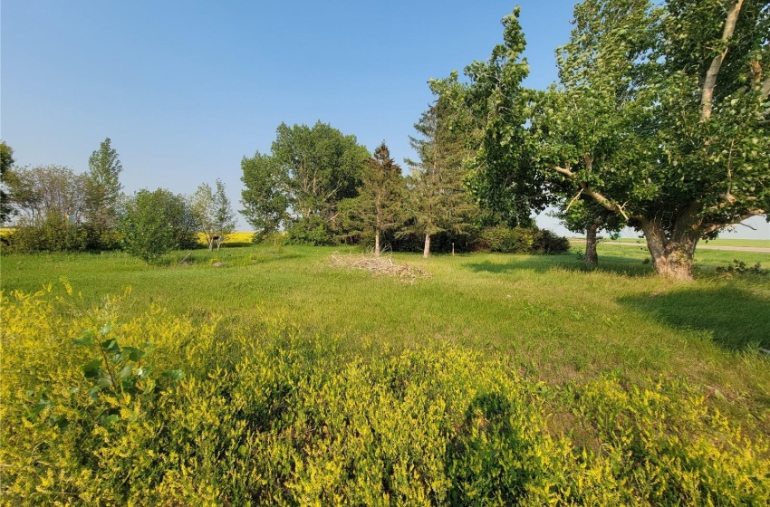 Rural Address, Cut Knife Rm No. 439, Saskatchewan S0M 0N0, 2 Bedrooms Bedrooms, 9 Rooms Rooms,2 BathroomsBathrooms,Acreage,For Sale,WILBERT STORE,Rural Address,SK938110