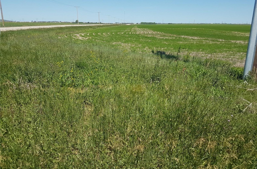 Rural Address, Sherwood Rm No. 159, Saskatchewan S4K 0A1, ,Farm,For Sale,309.81 ACRES-LAND ONLY,Rural Address,SK938001