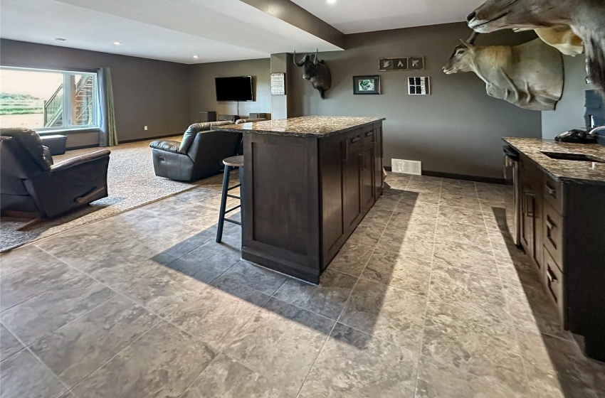 wet bar with under stair wine storage