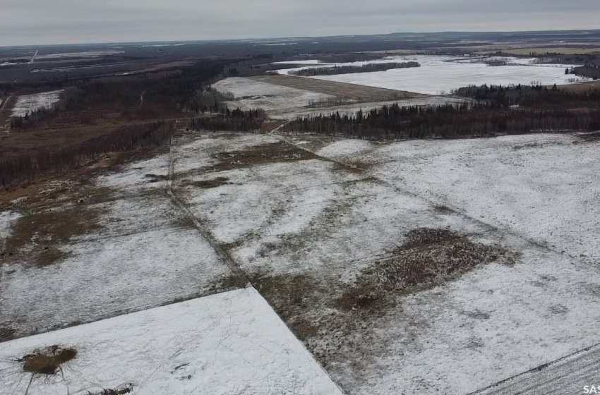 Rural Address, Barrier Valley Rm No. 397, Saskatchewan S0E 0B0, ,Farm,For Sale,Naylor Quarters,Rural Address,SK938904