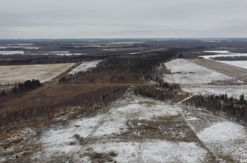 Rural Address, Barrier Valley Rm No. 397, Saskatchewan S0E 0B0, ,Farm,For Sale,Naylor Quarters,Rural Address,SK938904