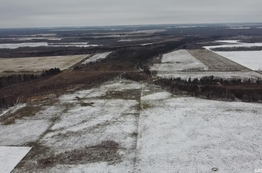 Rural Address, Barrier Valley Rm No. 397, Saskatchewan S0E 0B0, ,Farm,For Sale,Naylor Quarters,Rural Address,SK938904