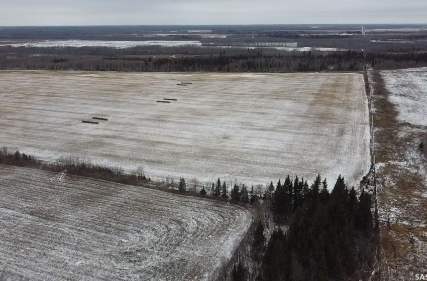 Rural Address, Barrier Valley Rm No. 397, Saskatchewan S0E 0B0, ,Farm,For Sale,Naylor Quarters,Rural Address,SK938904