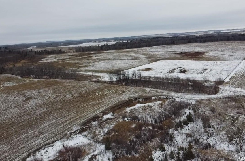 Rural Address, Barrier Valley Rm No. 397, Saskatchewan S0E 0B0, ,Farm,For Sale,Naylor Quarters,Rural Address,SK938904