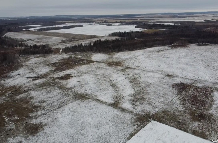 Rural Address, Barrier Valley Rm No. 397, Saskatchewan S0E 0B0, ,Farm,For Sale,Naylor Quarters,Rural Address,SK938904