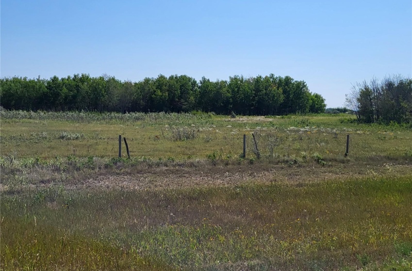 Rural Address, Mayfield Rm No. 406, Saskatchewan S0K 3L0, ,Farm,For Sale,Radisson 160 acres Pasture, Recreation or Hunting,Rural Address,SK939105