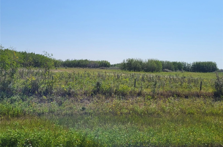 Rural Address, Mayfield Rm No. 406, Saskatchewan S0K 3L0, ,Farm,For Sale,Radisson 160 acres Pasture, Recreation or Hunting,Rural Address,SK939105