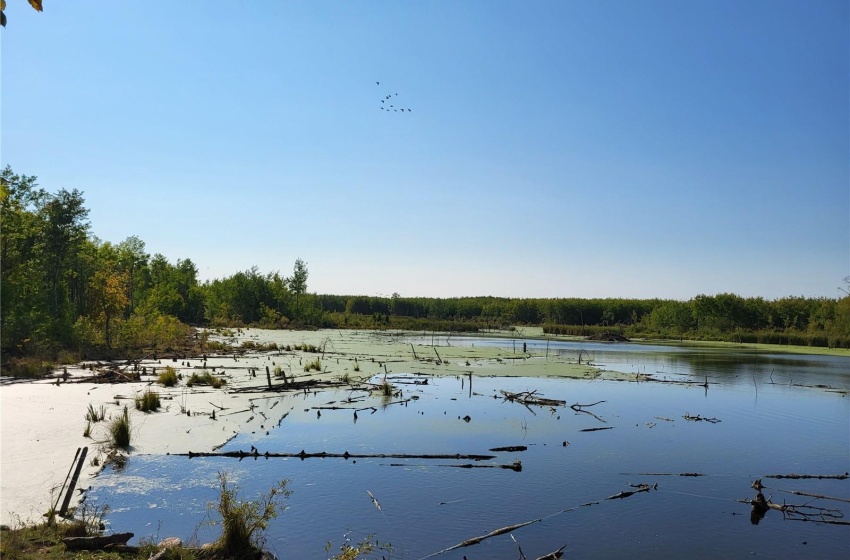 Rural Address, Loon Lake Rm No. 561, Saskatchewan S0M 1L0, ,Farm,For Sale,Loon Lake 1,162.4 acres Pastureland,Rural Address,SK940726