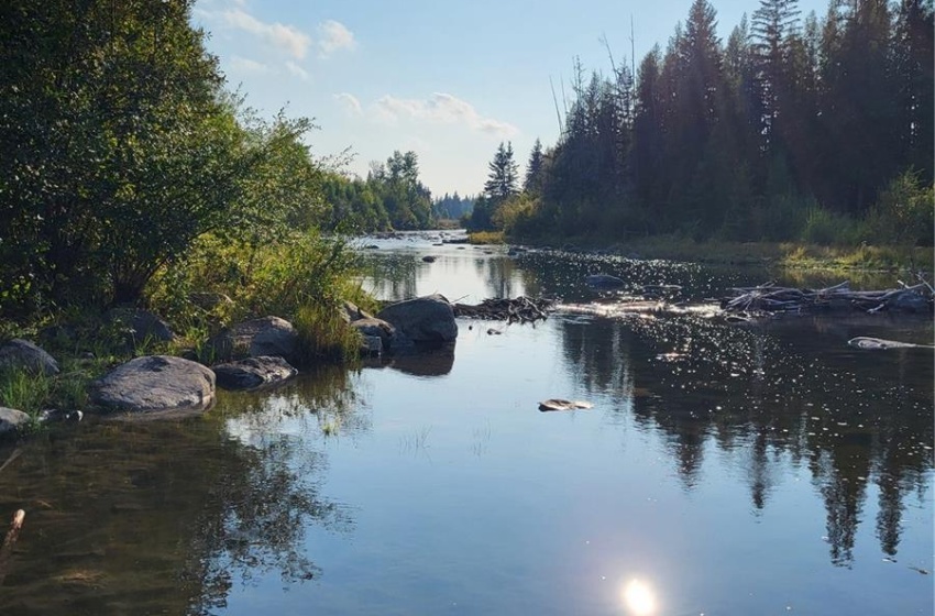 Rural Address, Loon Lake Rm No. 561, Saskatchewan S0M 1L0, ,Farm,For Sale,Loon Lake 1,162.4 acres Pastureland,Rural Address,SK940726