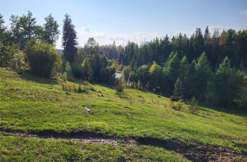 Rural Address, Loon Lake Rm No. 561, Saskatchewan S0M 1L0, ,Farm,For Sale,Loon Lake 1,162.4 acres Pastureland,Rural Address,SK940726