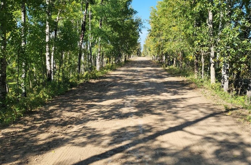 Rural Address, Loon Lake Rm No. 561, Saskatchewan S0M 1L0, ,Farm,For Sale,Loon Lake 1,162.4 acres Pastureland,Rural Address,SK940726