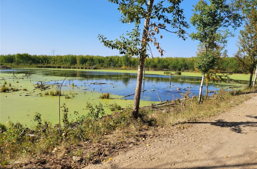 Rural Address, Loon Lake Rm No. 561, Saskatchewan S0M 1L0, ,Farm,For Sale,Loon Lake 1,162.4 acres Pastureland,Rural Address,SK940726