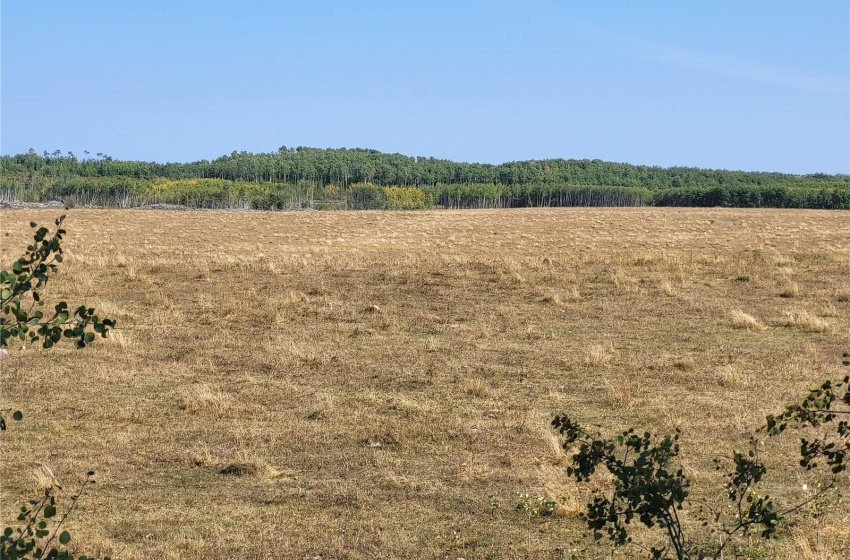 Rural Address, Loon Lake Rm No. 561, Saskatchewan S0M 1L0, ,Farm,For Sale,Loon Lake 1,162.4 acres Pastureland,Rural Address,SK940726