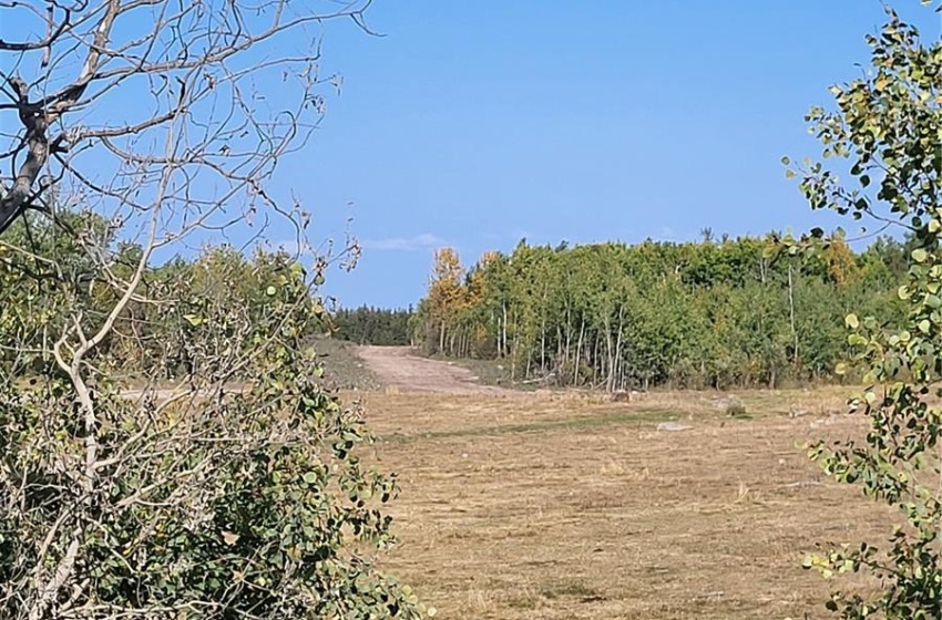 Rural Address, Loon Lake Rm No. 561, Saskatchewan S0M 1L0, ,Farm,For Sale,Loon Lake 1,162.4 acres Pastureland,Rural Address,SK940726