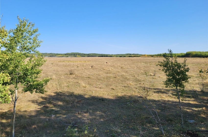 Rural Address, Loon Lake Rm No. 561, Saskatchewan S0M 1L0, ,Farm,For Sale,Loon Lake 1,162.4 acres Pastureland,Rural Address,SK940726