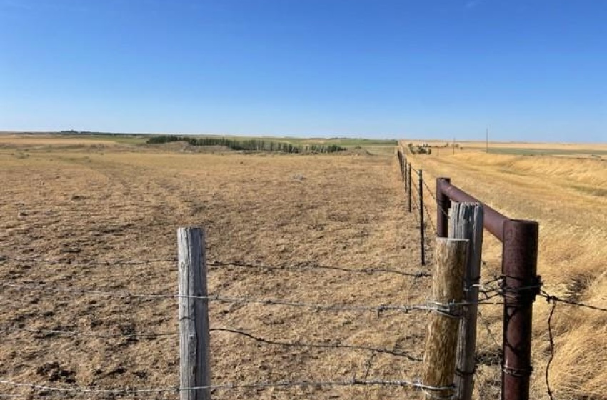 Rural Address, Auvergne Rm No. 76, Saskatchewan S0N 1Z0, ,Farm,For Sale,Lamb Farm,Rural Address,SK940879