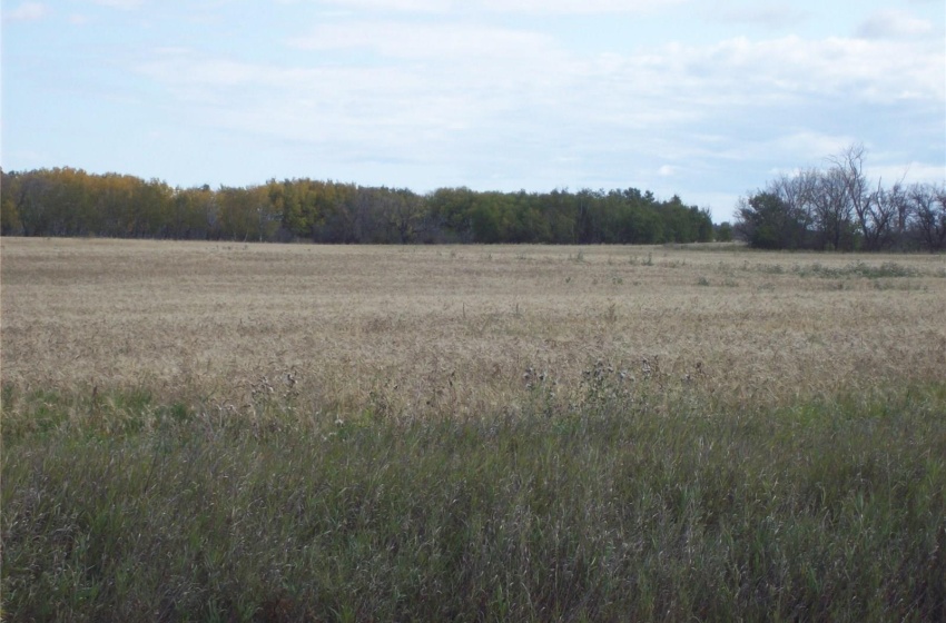 Rural Address, Corman Park Rm No. 344, Saskatchewan S7H 5N9, ,Farm,For Sale,#1. Richardt 142.57 Acres Corman Park,Rural Address,SK941171