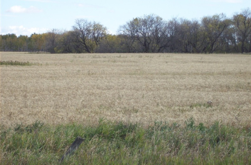 Rural Address, Corman Park Rm No. 344, Saskatchewan S7H 5N9, ,Farm,For Sale,#1. Richardt 142.57 Acres Corman Park,Rural Address,SK941171