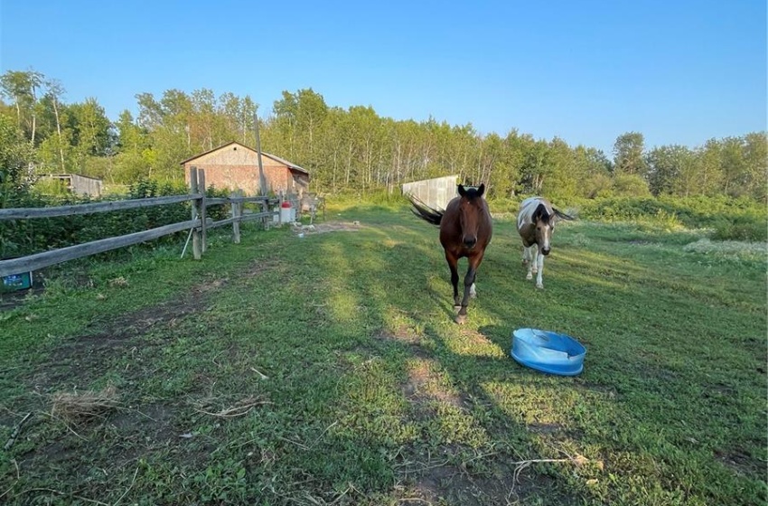 Rural Address, Hudson Bay Rm No. 394, Saskatchewan S0E 0Y0, 3 Bedrooms Bedrooms, 11 Rooms Rooms,2 BathroomsBathrooms,Acreage,For Sale,Foster 35 acres,Rural Address,SK941334