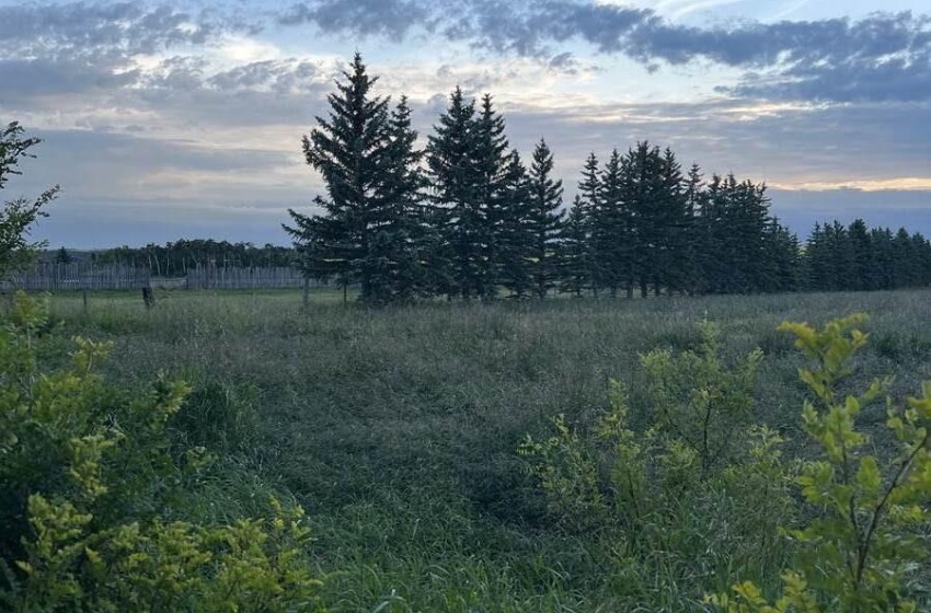 Rural Address, Abernethy Rm No. 186, Saskatchewan S0A 2B0, 4 Bedrooms Bedrooms, 15 Rooms Rooms,2 BathroomsBathrooms,Acreage,For Sale,NE-36-20-10-w2- BILLY SUNDAY RANCH,Rural Address,SK941640